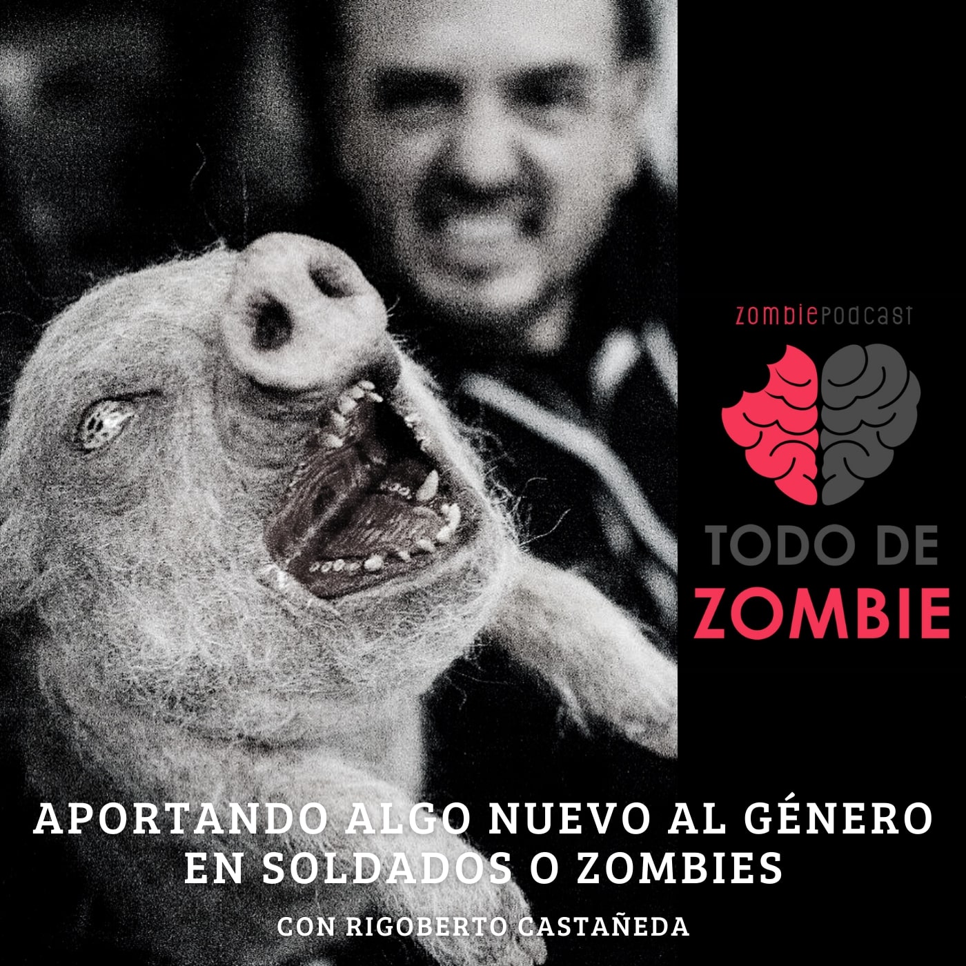 Todo De Zombie